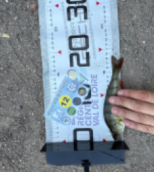photo prise 53732 par Urban fishing France