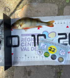 photo prise 53745 par Joris Pougin