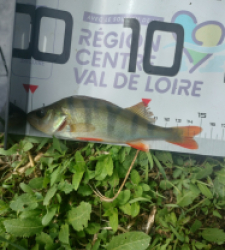 photo prise 53768 par FLO