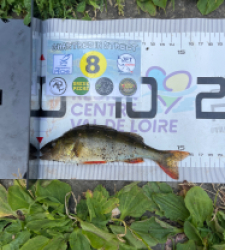 photo prise 53772 par jules.deschamps