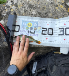photo prise 53774 par Urban fishing France