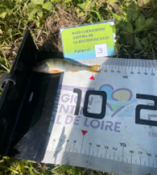 photo prise 53995 par Cedlepecheur