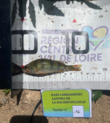 photo prise 54071 par Sim.fishing05