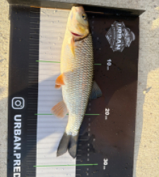 photo prise 54809 par Crazy Fish