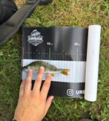 photo prise 54811 par Urban fishing France