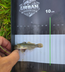 photo prise 54874 par Alexy Mathorel