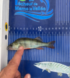 photo prise 55262 par Fast28