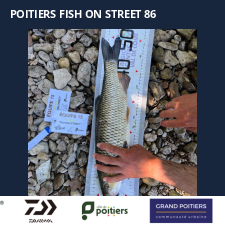 photo prise 57438 par Fullfish