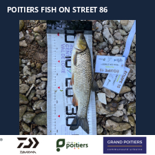 photo prise 57451 par Fullfish