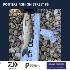 photo prise 57542 par Fullfish