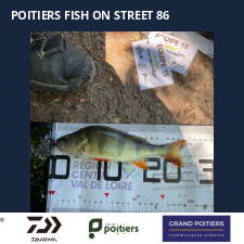 photo prise 57711 par Fullfish