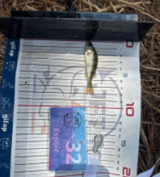 photo prise 58783 par heleneboscher29
