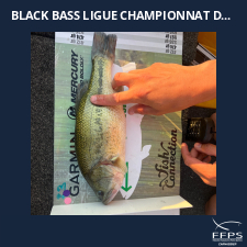 photo prise 58802 par Fullfish