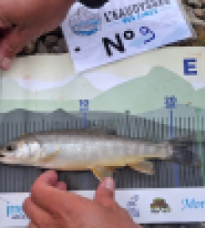 photo prise 59127 par Bastian2B04