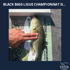 photo prise 59150 par Fullfish