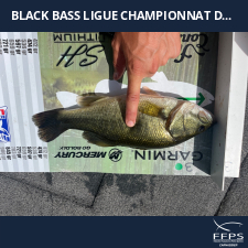 photo prise 59248 par Fullfish