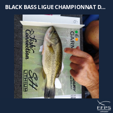 photo prise 59643 par Bebert