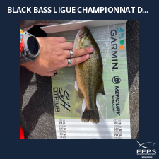 photo prise 59686 par Lopez