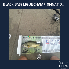 photo prise 59797 par 
