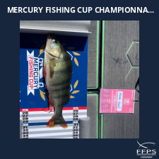 photo prise 59882 par thibaud.meral___d
