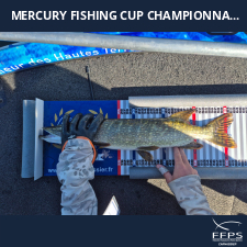 photo prise 59901 par Fishing12