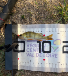photo prise 59938 par mateopetou