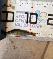 photo prise 59942 par benoit.martin2506