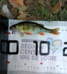 photo prise 59976 par GuiZ viens on pêche