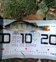 photo prise 59993 par GuiZ viens on pêche