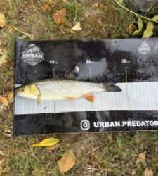 photo prise 60009 par Crazy Fish