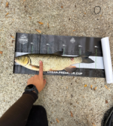 photo prise 60034 par Urban fishing France