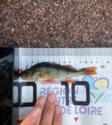 photo prise 60042 par 