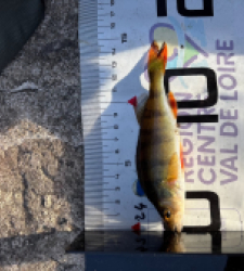 photo prise 60043 par prestonegennetay305