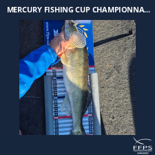 photo prise 60086 par Fishing12