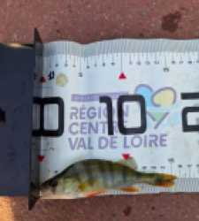 photo prise 60088 par Pecheur d'eau douce