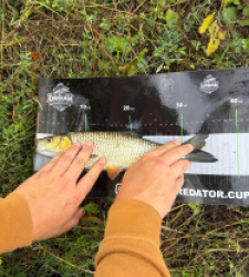 photo prise 60116 par Crazy Fish