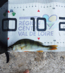 photo prise 60131 par gouin.fabrice