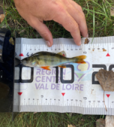 photo prise 60316 par simonalexiskopp