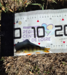 photo prise 60336 par Pecheur d'eau douce