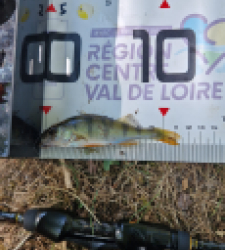 photo prise 60365 par dalbosco.yoann