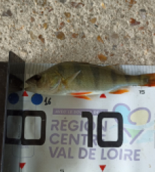 photo prise 60368 par maeght.sebastien