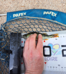 photo prise 60541 par FISH1MAX