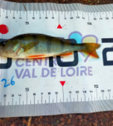 photo prise 60596 par fandepeche41