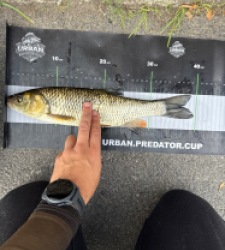 photo prise 60630 par Urban fishing France