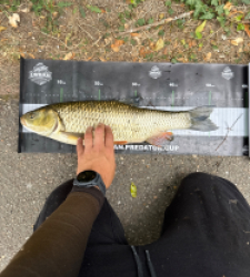 photo prise 60677 par Urban fishing France