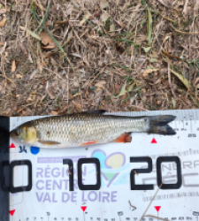 photo prise 60815 par Nico