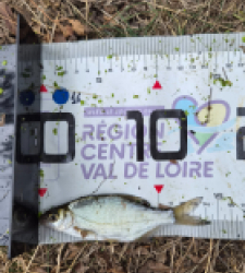 photo prise 60921 par Pecheur d'eau douce