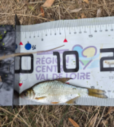 photo prise 60939 par Pecheur d'eau douce
