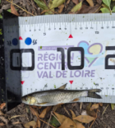 photo prise 60952 par Pecheur d'eau douce