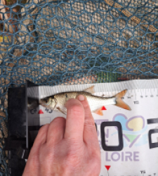 photo prise 60971 par FISH1MAX